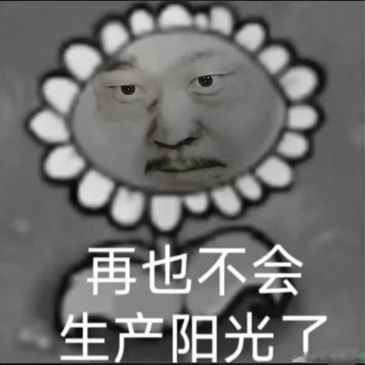杨紫白玉兰切片换了白玉兰官方发入围切片了？我断网了？我明天也剪个大家的入围切片，