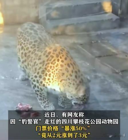 在四川攀枝花，有一座动物园因其独特的魅力在网络上迅速走红，尤其是园内的“胖宝宝们