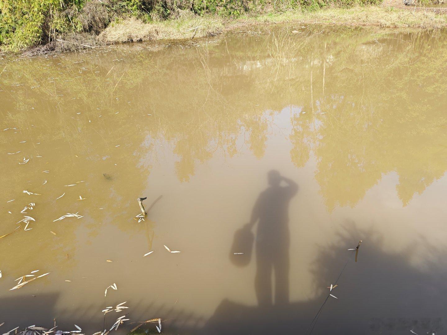 开窗即见满世华，起床便可走花路。 