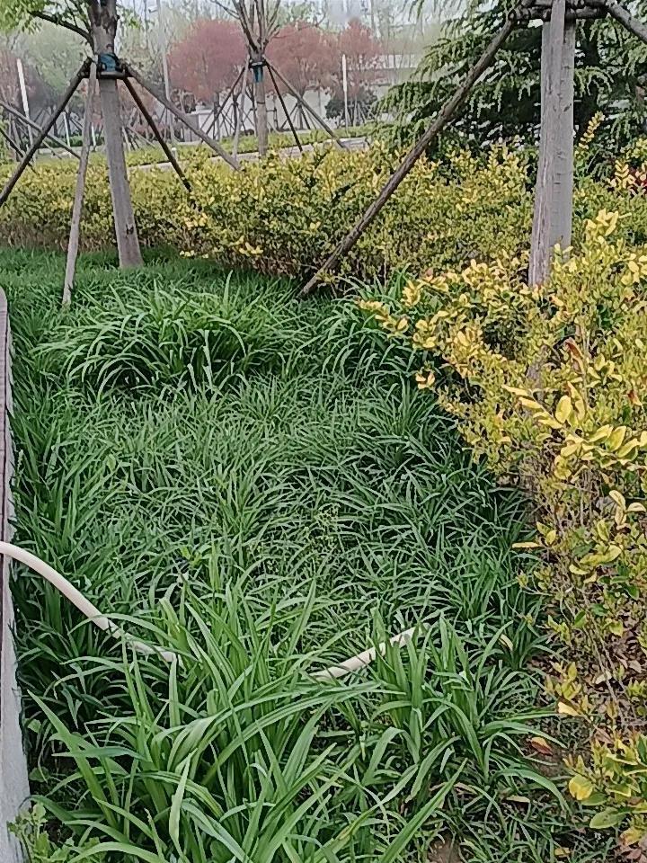 你能闻到大自然的清香吗?
鼻尖捕捉到草木、鲜花与泥土揉合的湿润气息，这正是春风捎