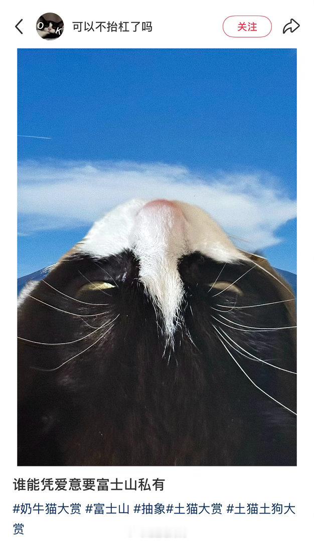 小地瓜精选 怎么想出来的！我也要拍猫猫山。 ​​​