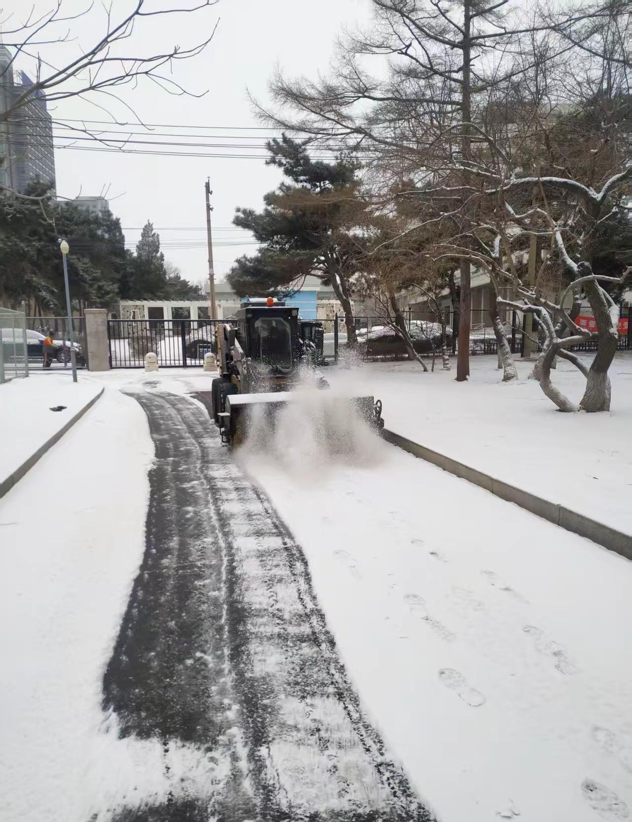 这应该是今年的最后一场雪🌨了吧