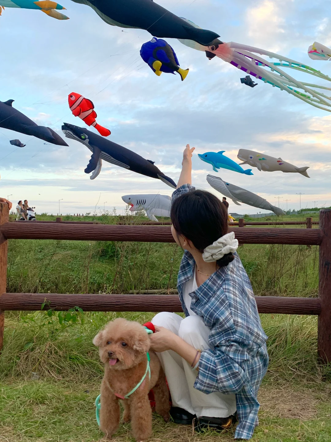 今天的风筝是海鲜专场吗～