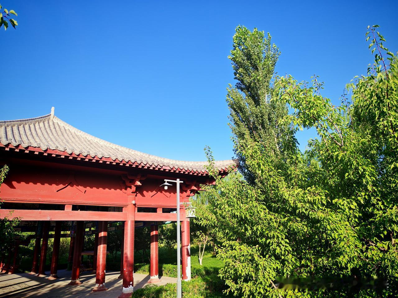 夏日生活打卡季