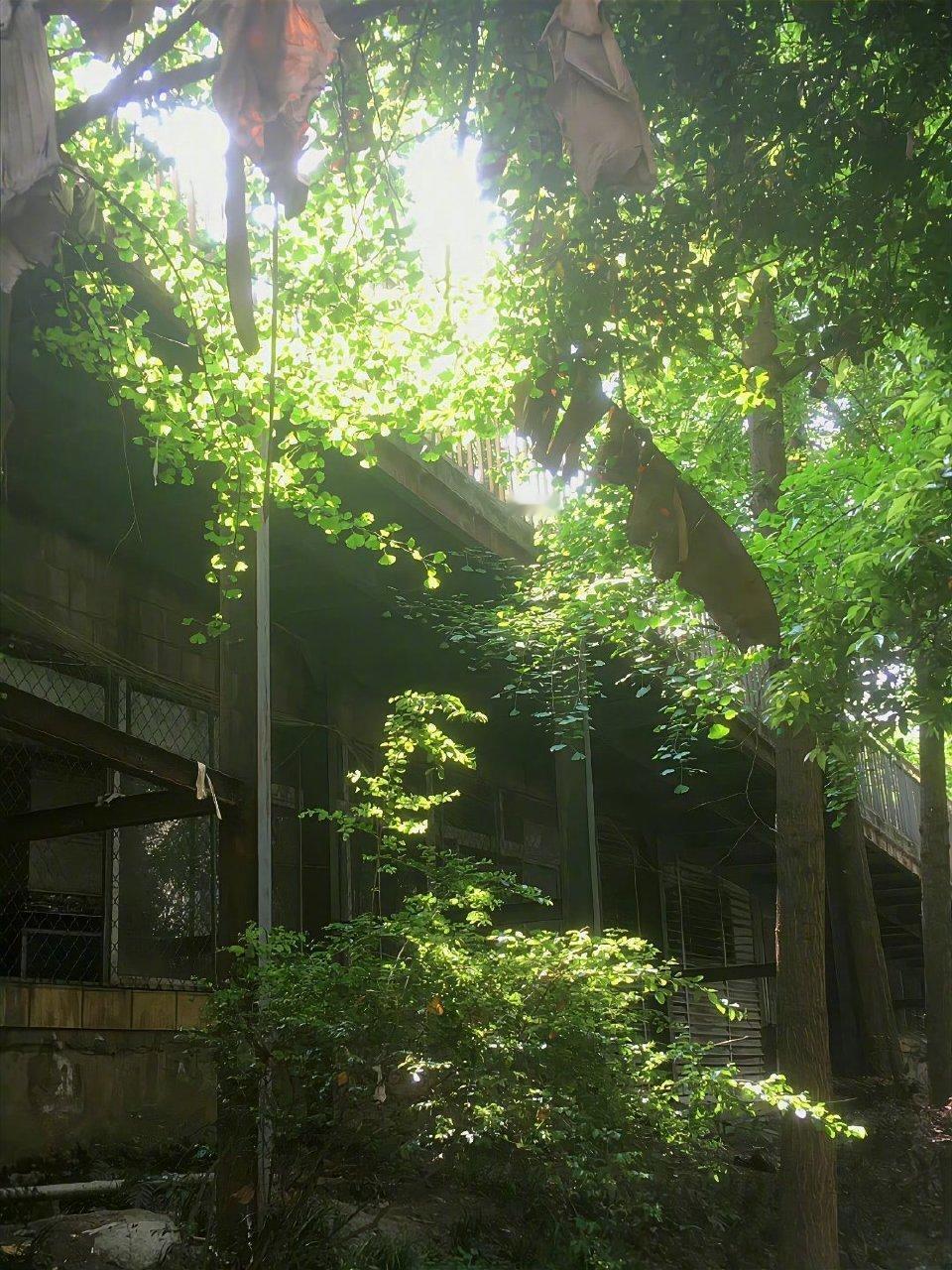 “如何形容这个即将过去的夏天?” ​​​
