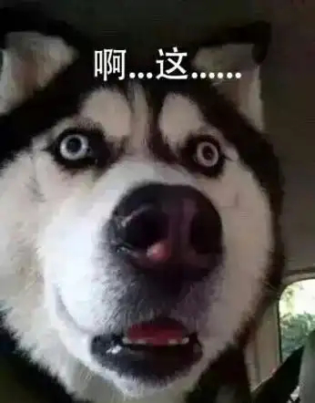 刚看了一个昨晚点歌的，看完一脸懵逼，excuse me...啊这。。。 是不是跑