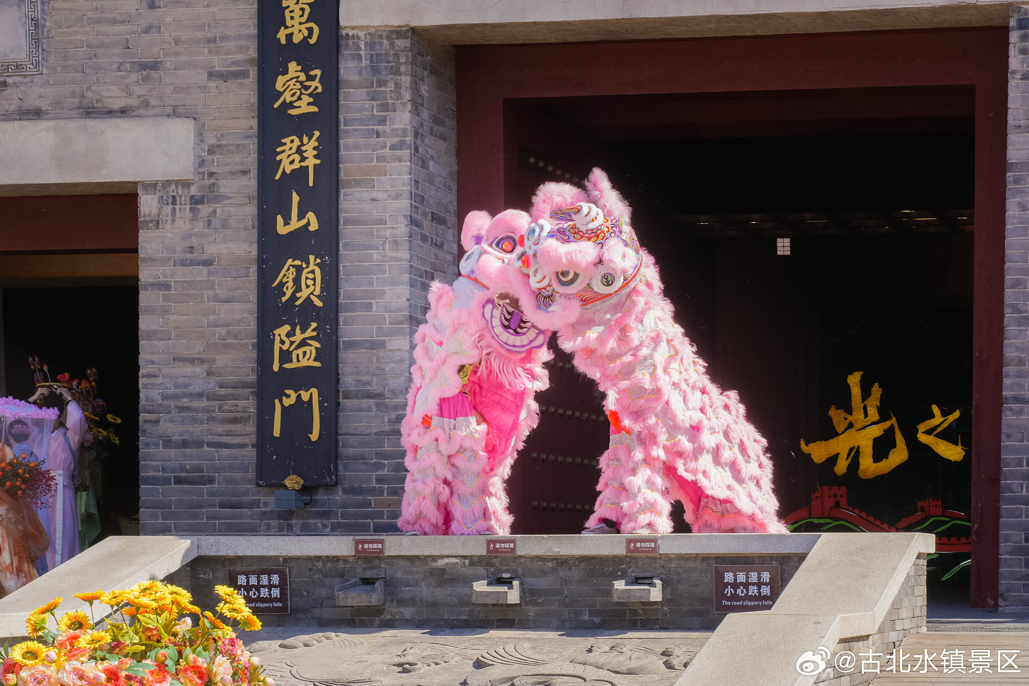 清晨的阳光慢慢铺满街道，新的一天又温柔开场愿你带着好心情出发早安，宝子们～#古北