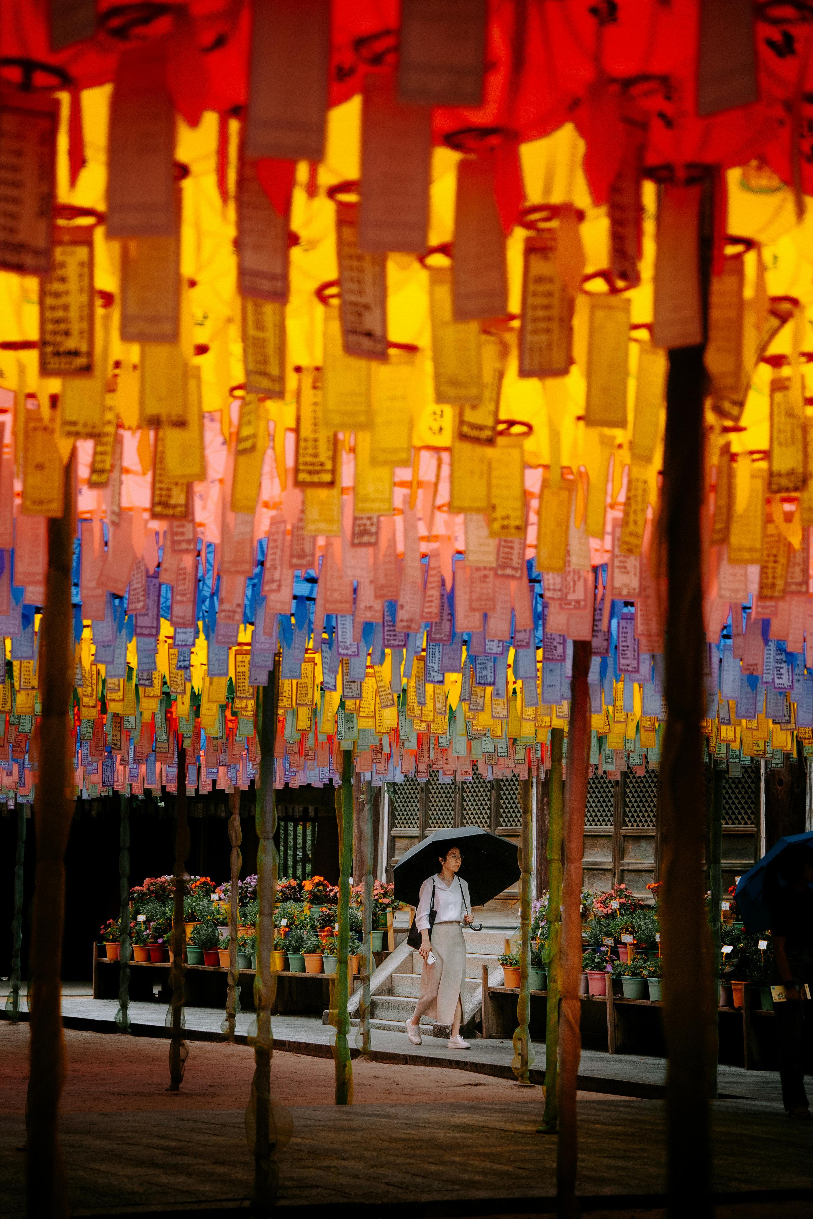 老规矩，睡前一更。明日甲辰  辛未  甲戌。又是一个土气重且燥热异常的日课，热力