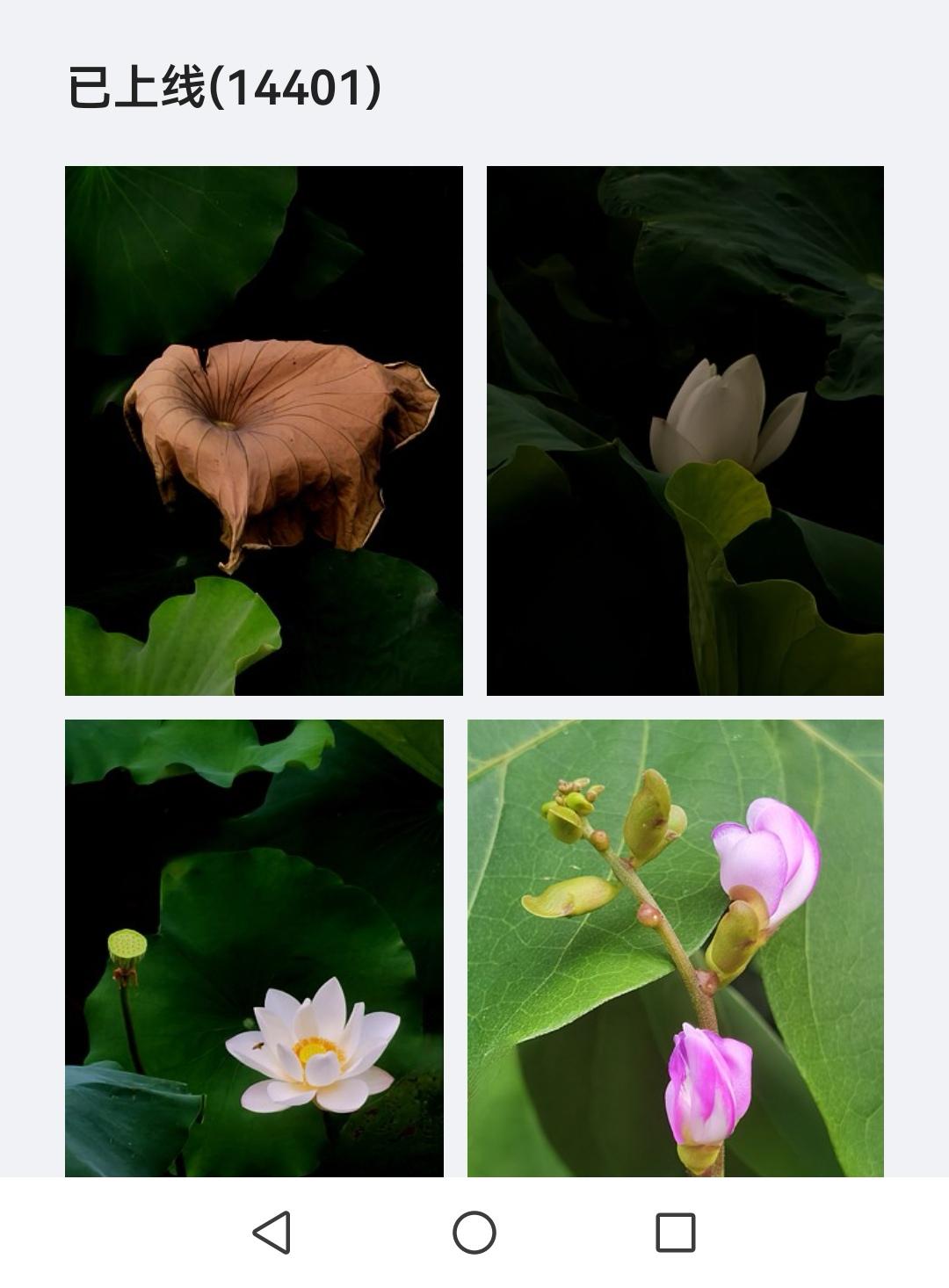 视觉中国已经上线14401张照片，特存谢。
视觉中国&500px 视觉中国