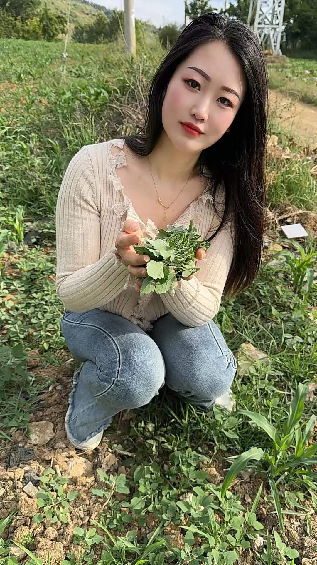 田间采摘野菜 随拍 爱情