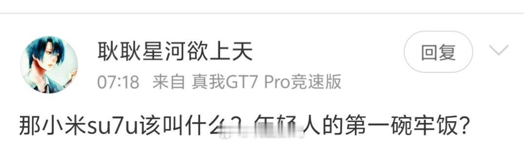 小米SU7咋就年轻人的第一碗牢饭了？有谁因为小米SU7坐牢的吗？[二哈] ​​​