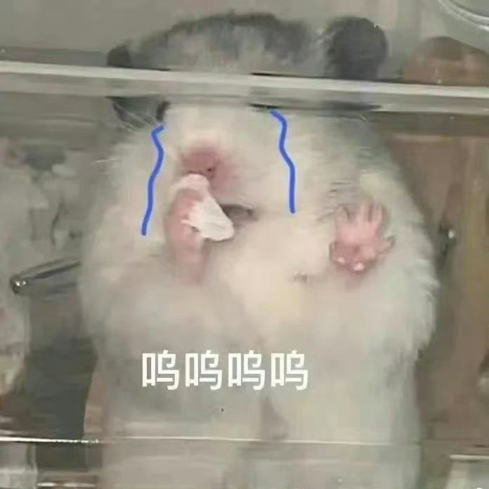 白鹿人品没得说叙旧老板跟白鹿那么多年处到现在跟猫的树导演也一直有合作现在离开欢娱
