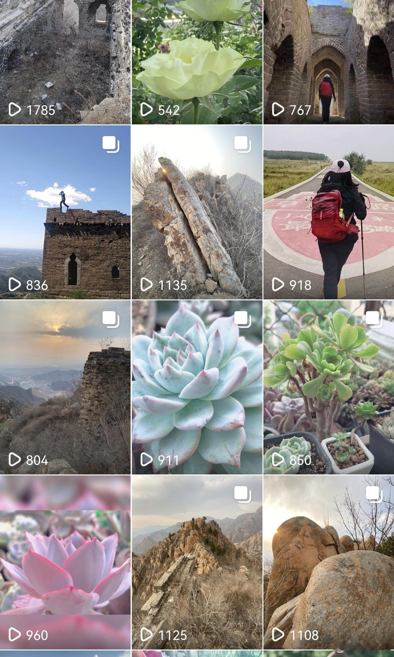 某音的反应真的成谜，我最看好的端午特辑，流量直接创下了复记以来的新低，反倒是今天