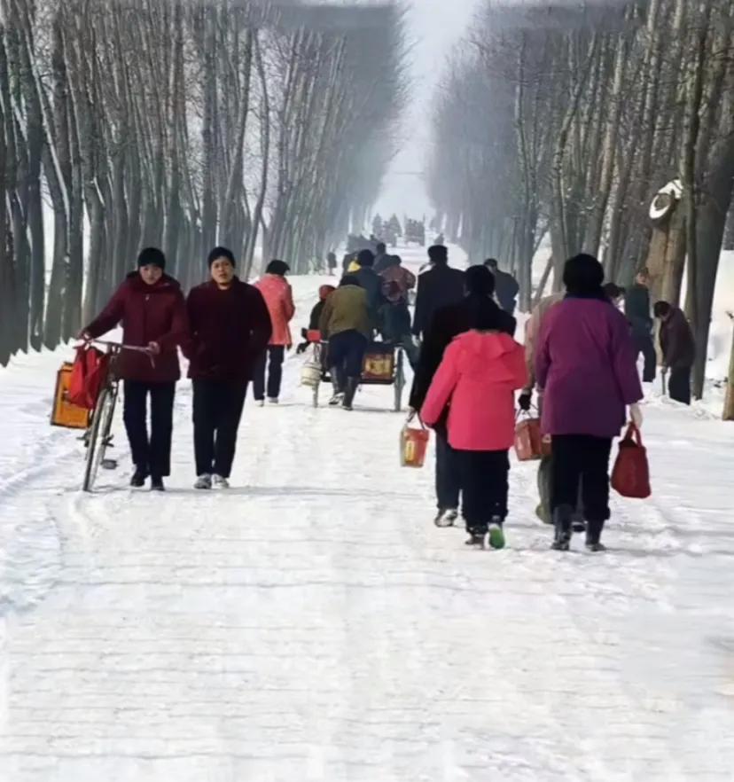 我多么怀念