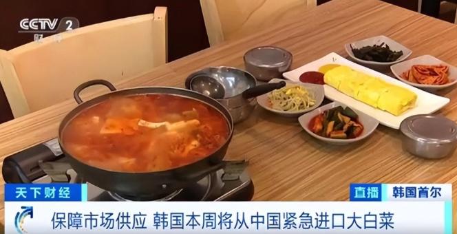 “中国要被我们拖垮了！”2024年，韩国上千人拒绝吃中国进口的大白菜，原本想给中