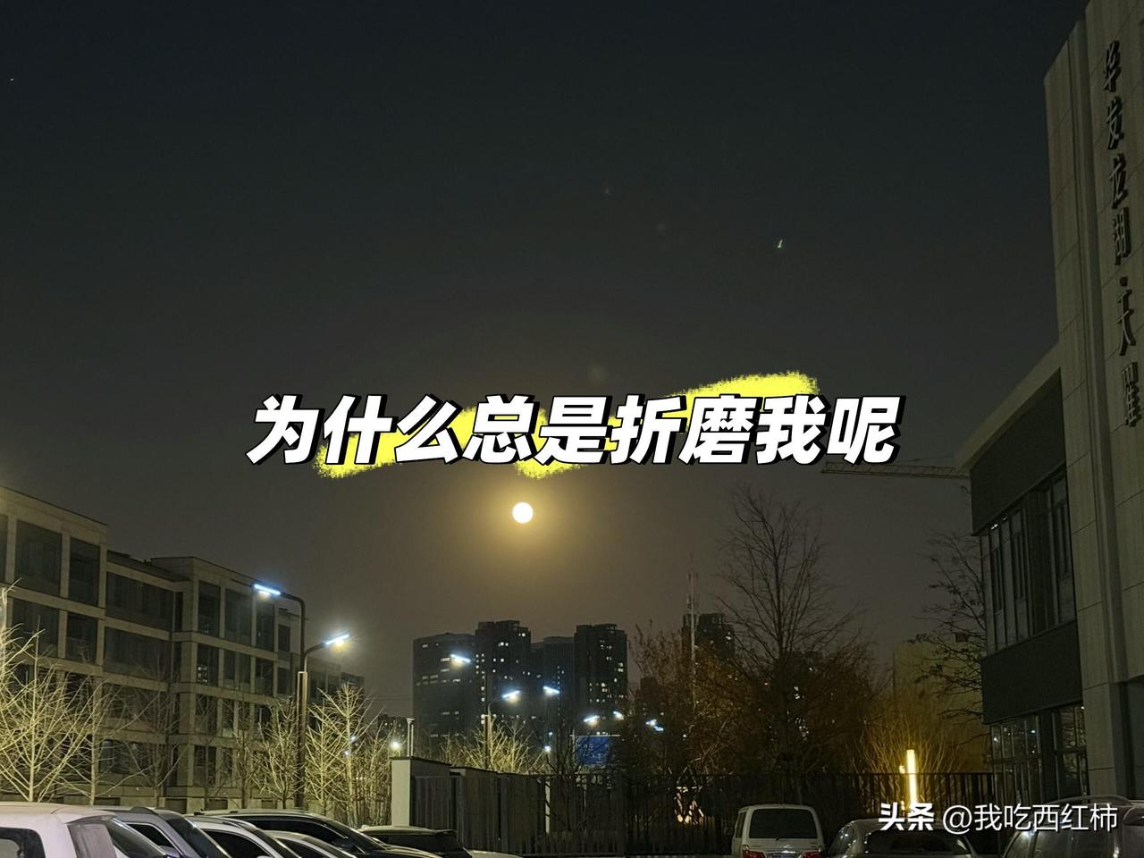 每个人都能顺利的结婚，有双方父母的支持，怎么我就不可以，我只是想像普通人一样结婚