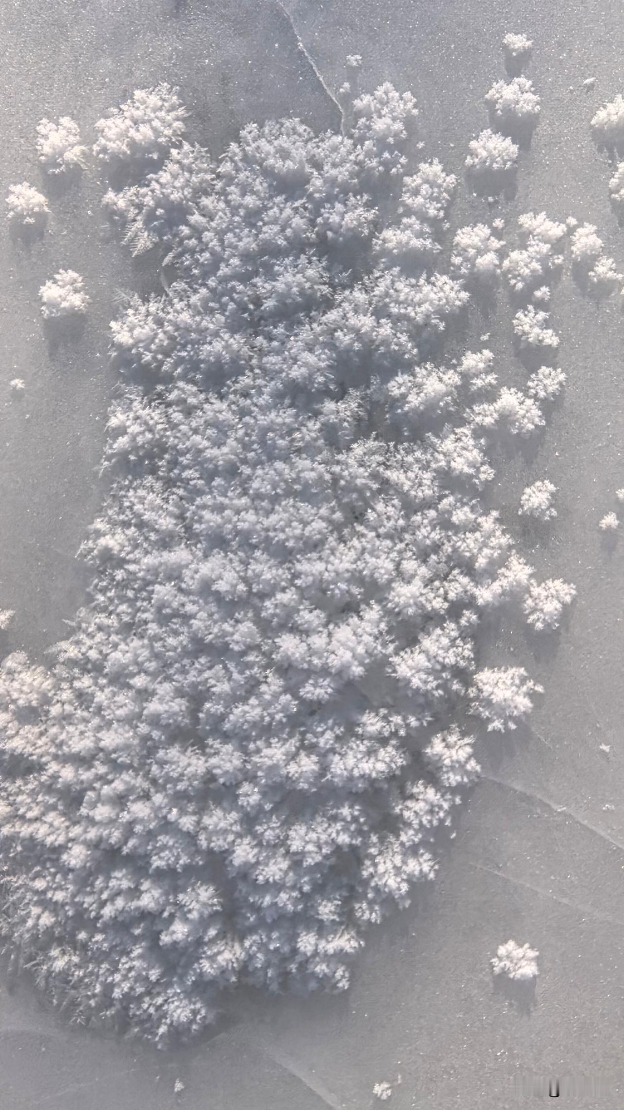 会，我已经站在这里。

当大多数人还在讨论“值不值得”，我已在1月17日抵达阿勒