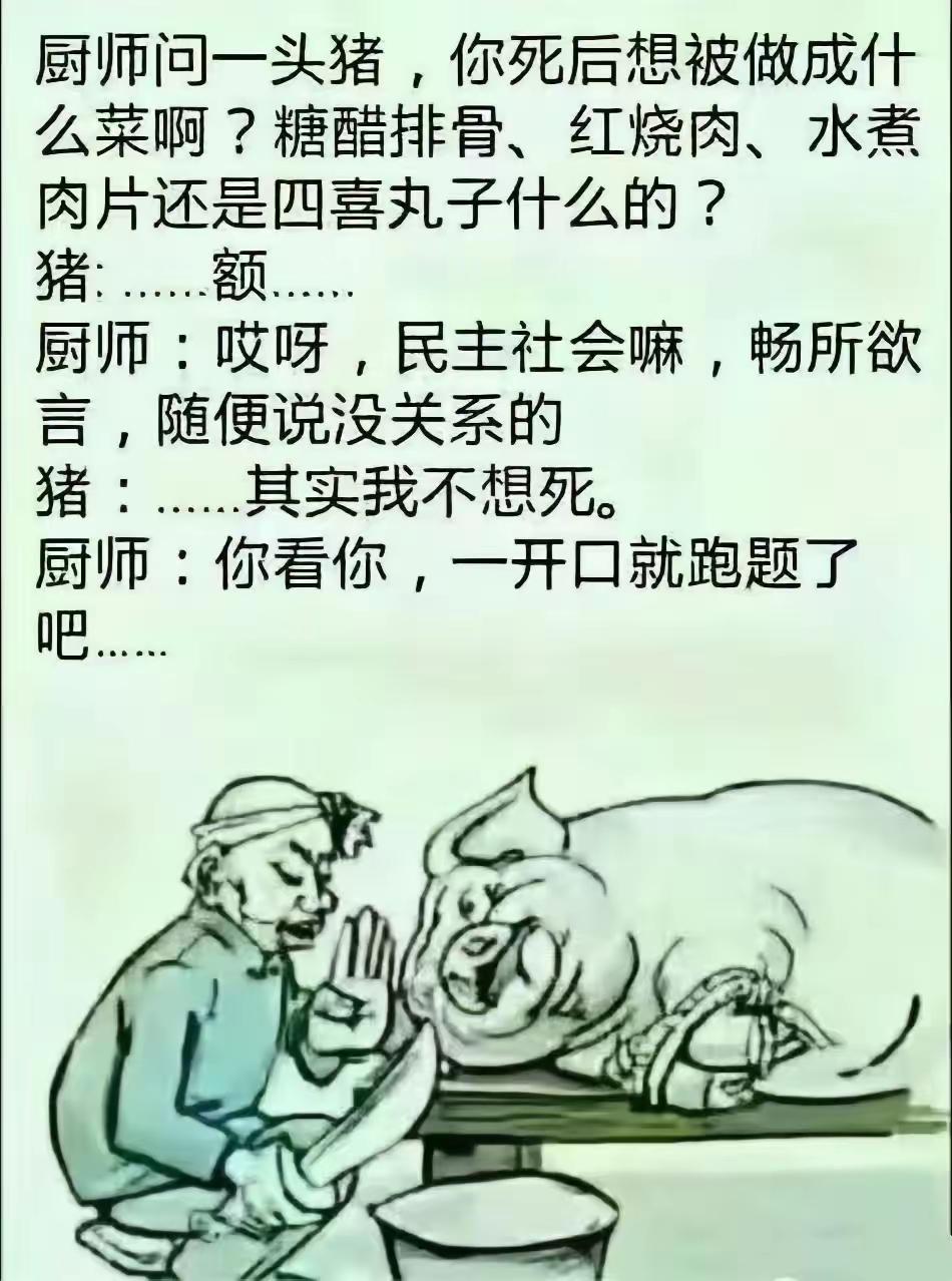 你这不按套路，我也还难办！