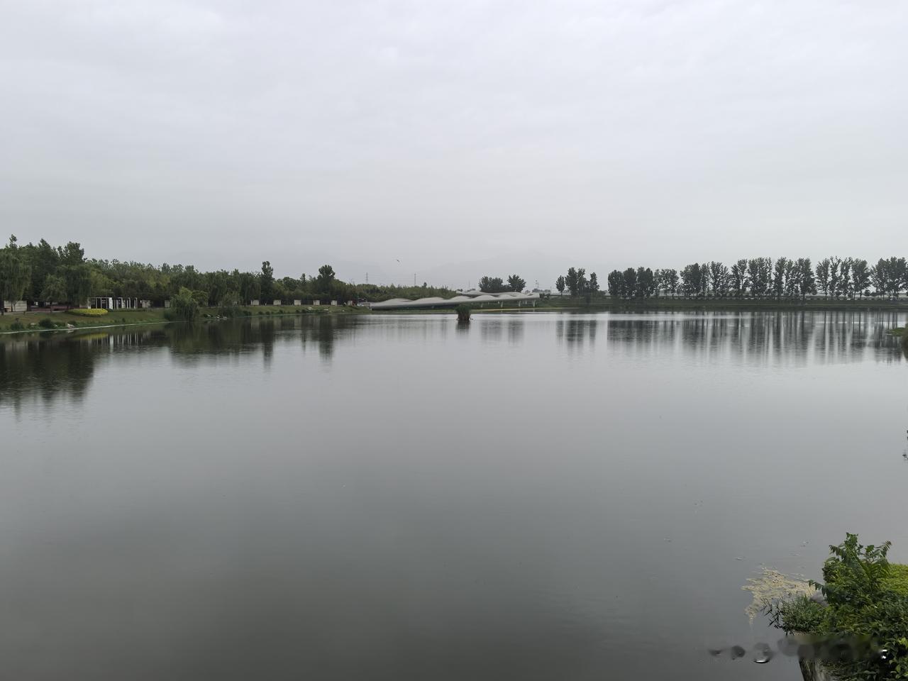 昨日下午，趁雨后天晴的空隙，到西安市秦渡镇对面的仪祉湖风景区转了转。
河边垂柳依