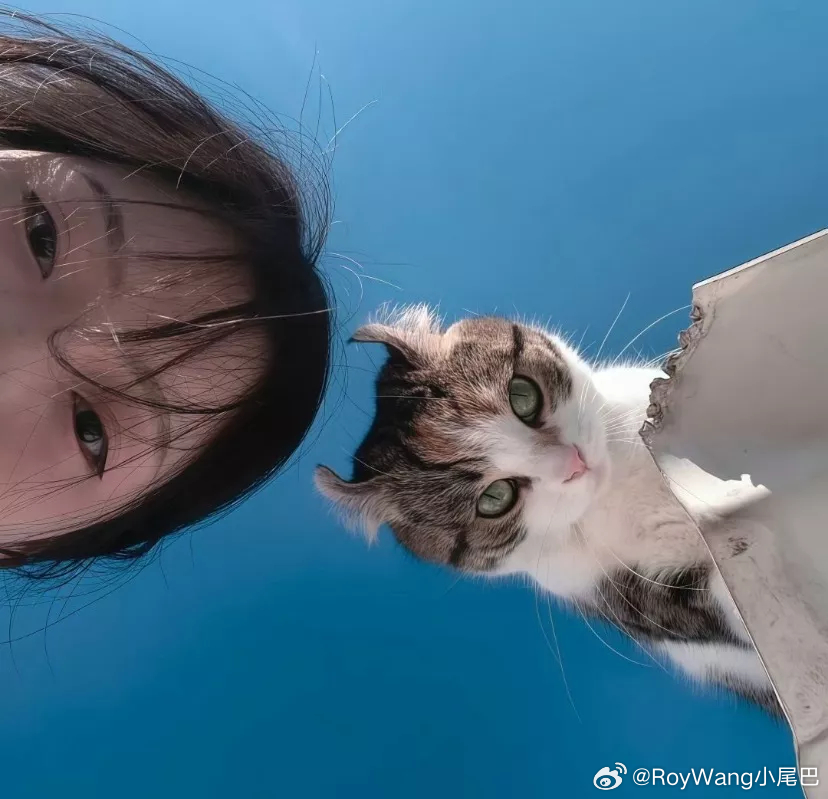 𝑾𝒆𝑪𝒉𝒂𝒕头像背景图搭配｜杂风集  