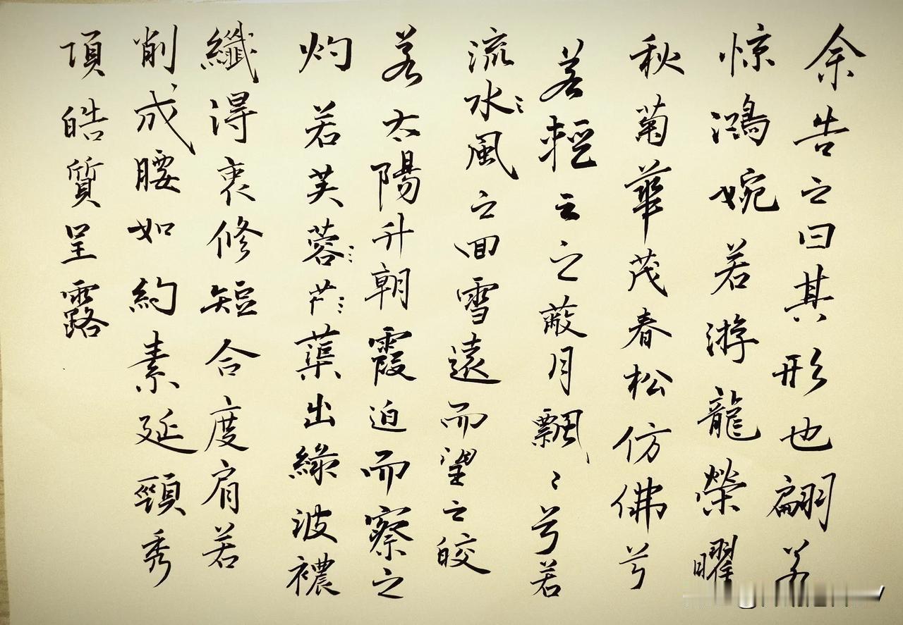 余告之曰：“其形也，翩若惊鴻，婉若游龍。榮曜秋菊，華茂春松。仿佛兮若輕云之蔽月，