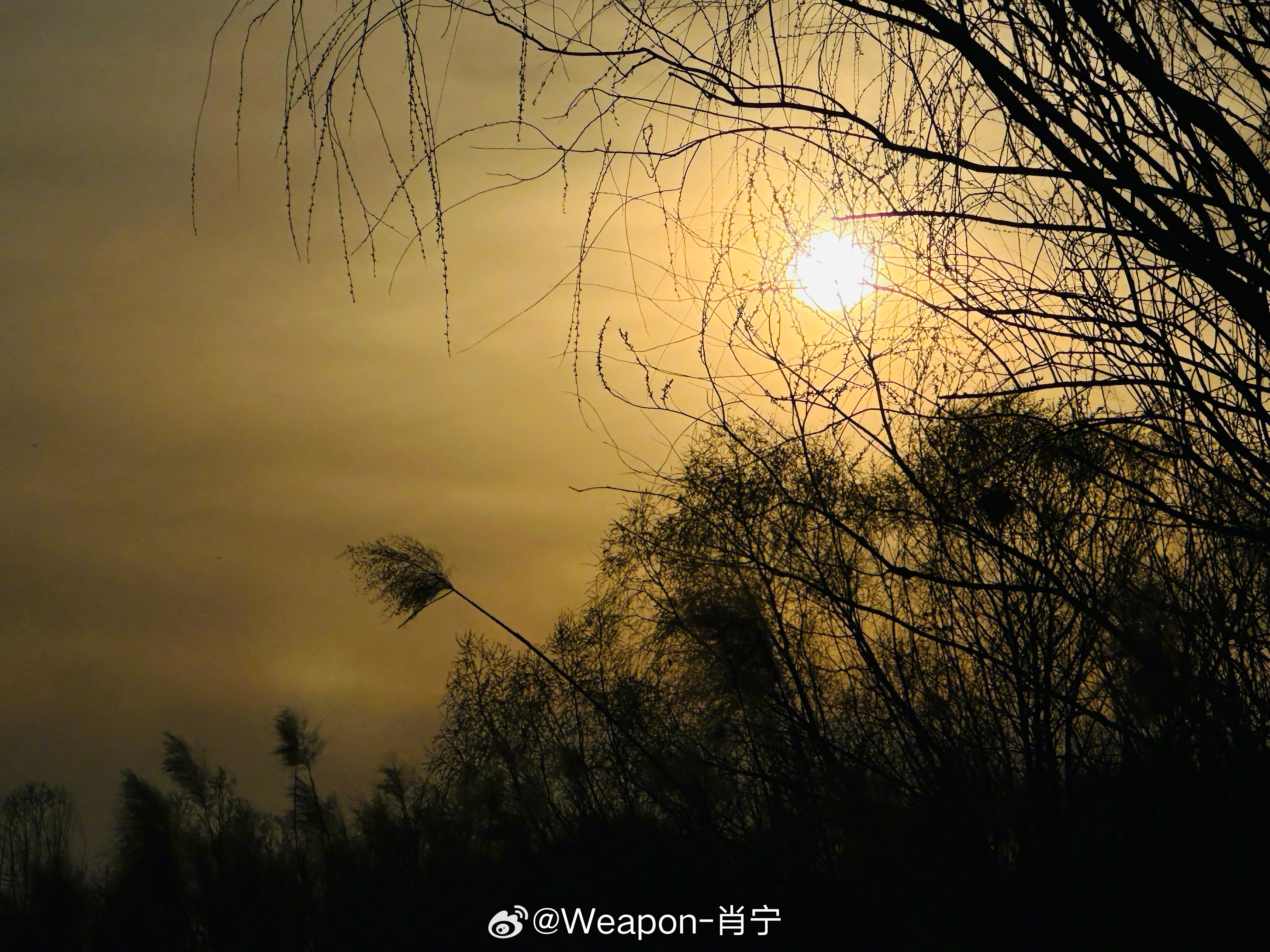 兵器影像 各位，早点休息吧