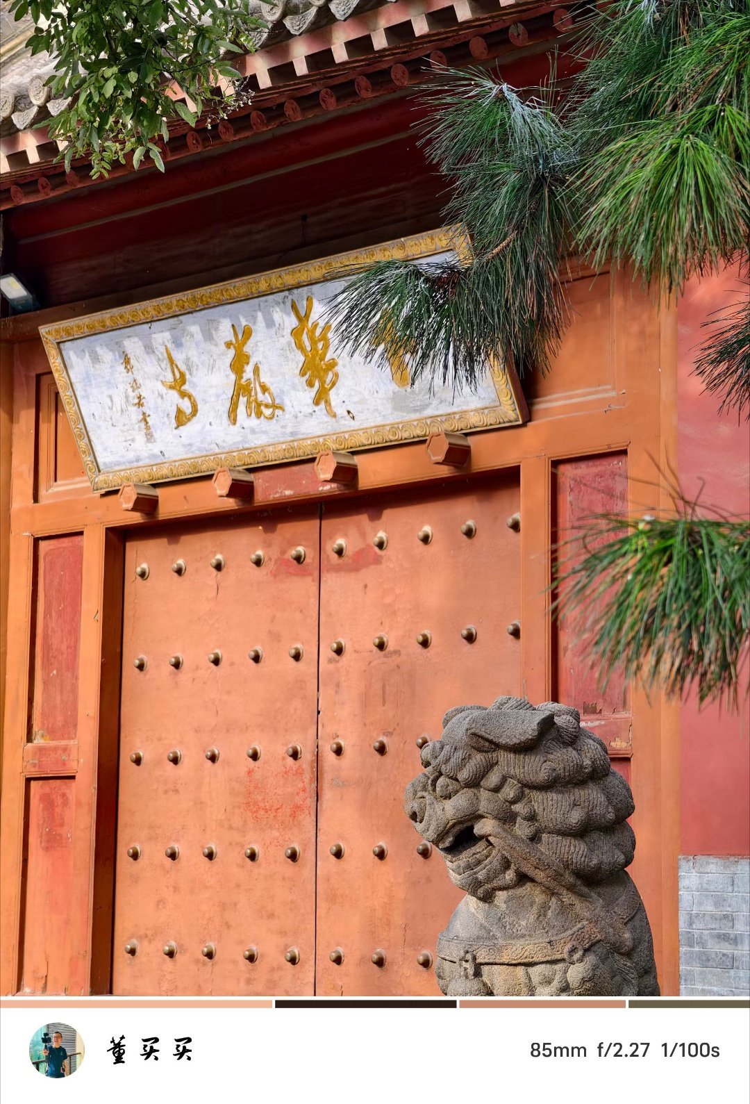 华严寺 惠济寺 洪福寺 南禅寺 佛光寺 崇福寺解锁新机场：朔州滋润机场山西好玩，