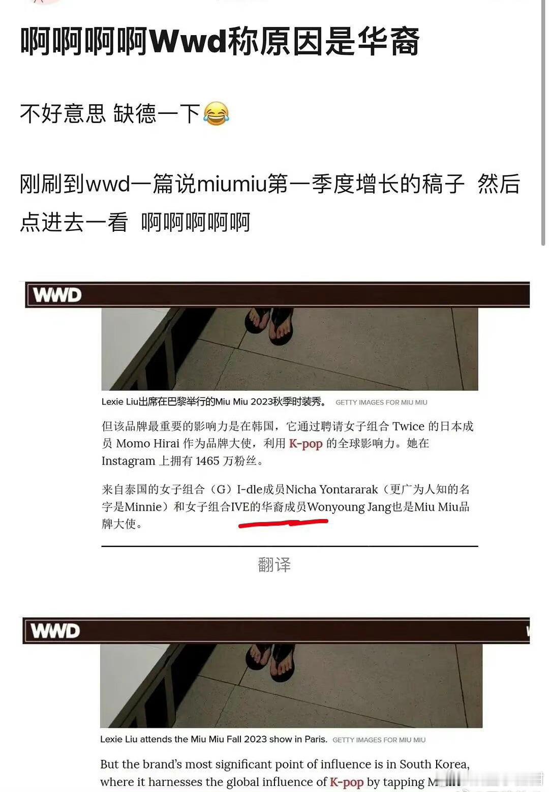 有媒体直接称张元英为华裔 ​​​
