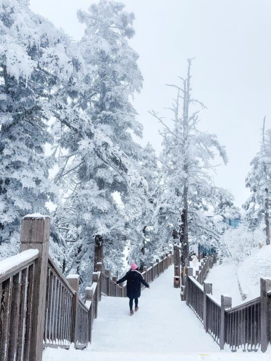 我见到现实版的窗含西岭千秋雪