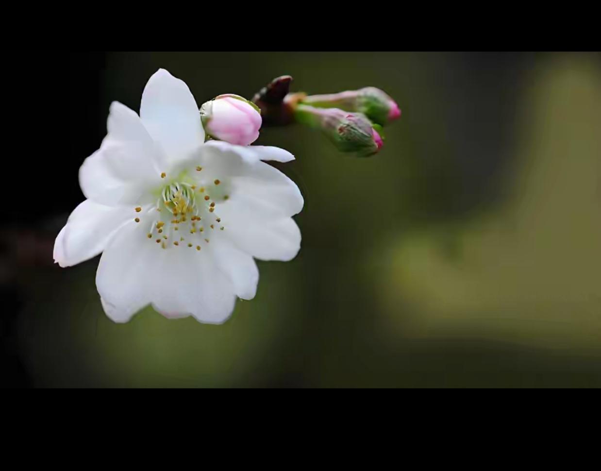 一个家的顶梁柱，可能是不赚钱的那位！

别急着反驳，你以为谁在养家？往往是那个没