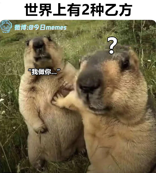 你说（9gag）今日meme 今日memes