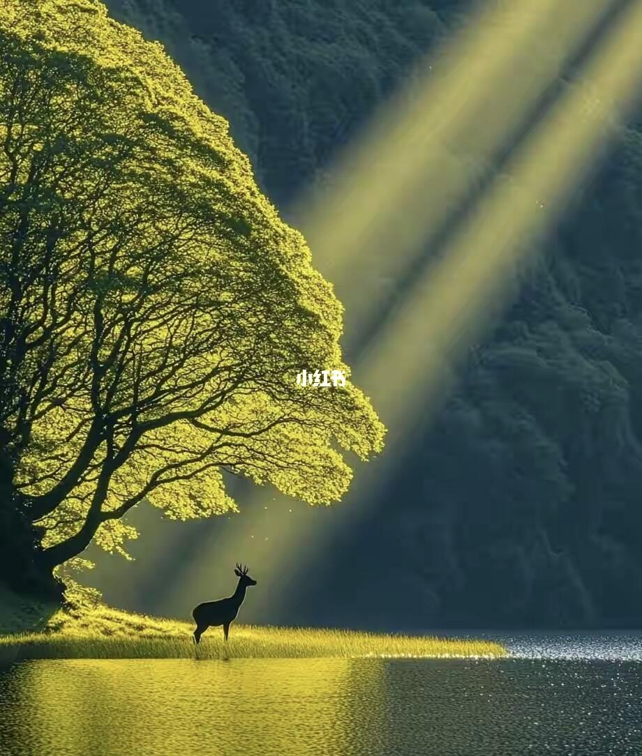 刚刚结束了一场情感咨询，说实话，听完她的故事，我沉默了很久 她47岁...