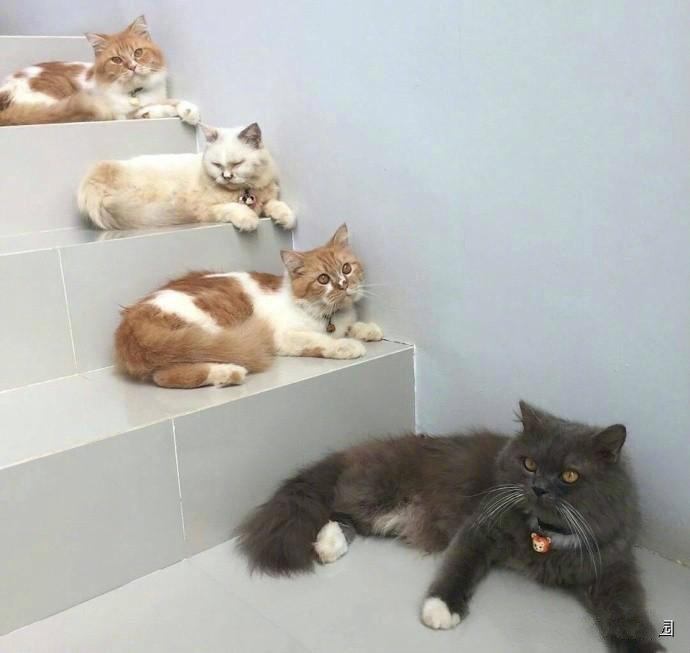 层层把关，想上楼看来不容易啊！