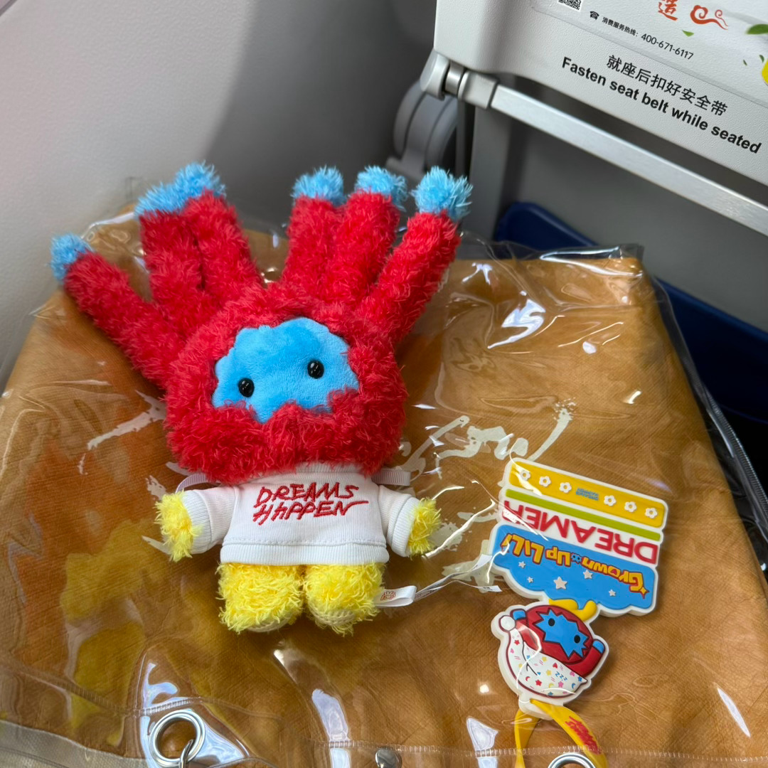 毛跟我一样困晕了…gogogo✈️ 