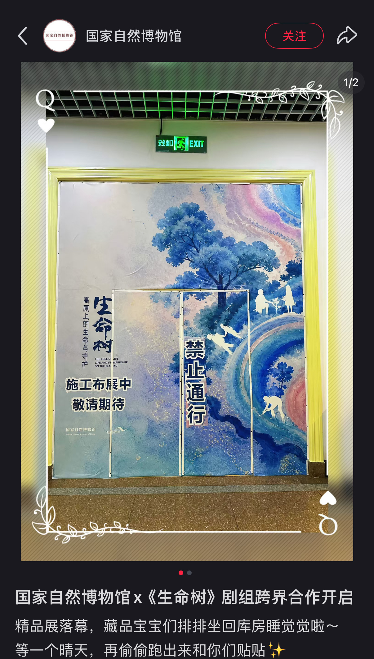 生命树和国家自然博物馆的跨界合作 