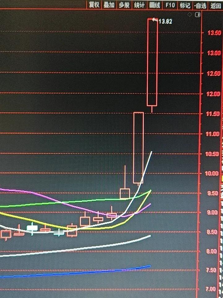 马年首日收盘点评：开门红！三大指数全线大涨，五只关注股集体涨停
 
马年首个交易