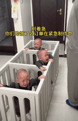 我有一个问题。
喂的时候怎么喂？谁先谁后？