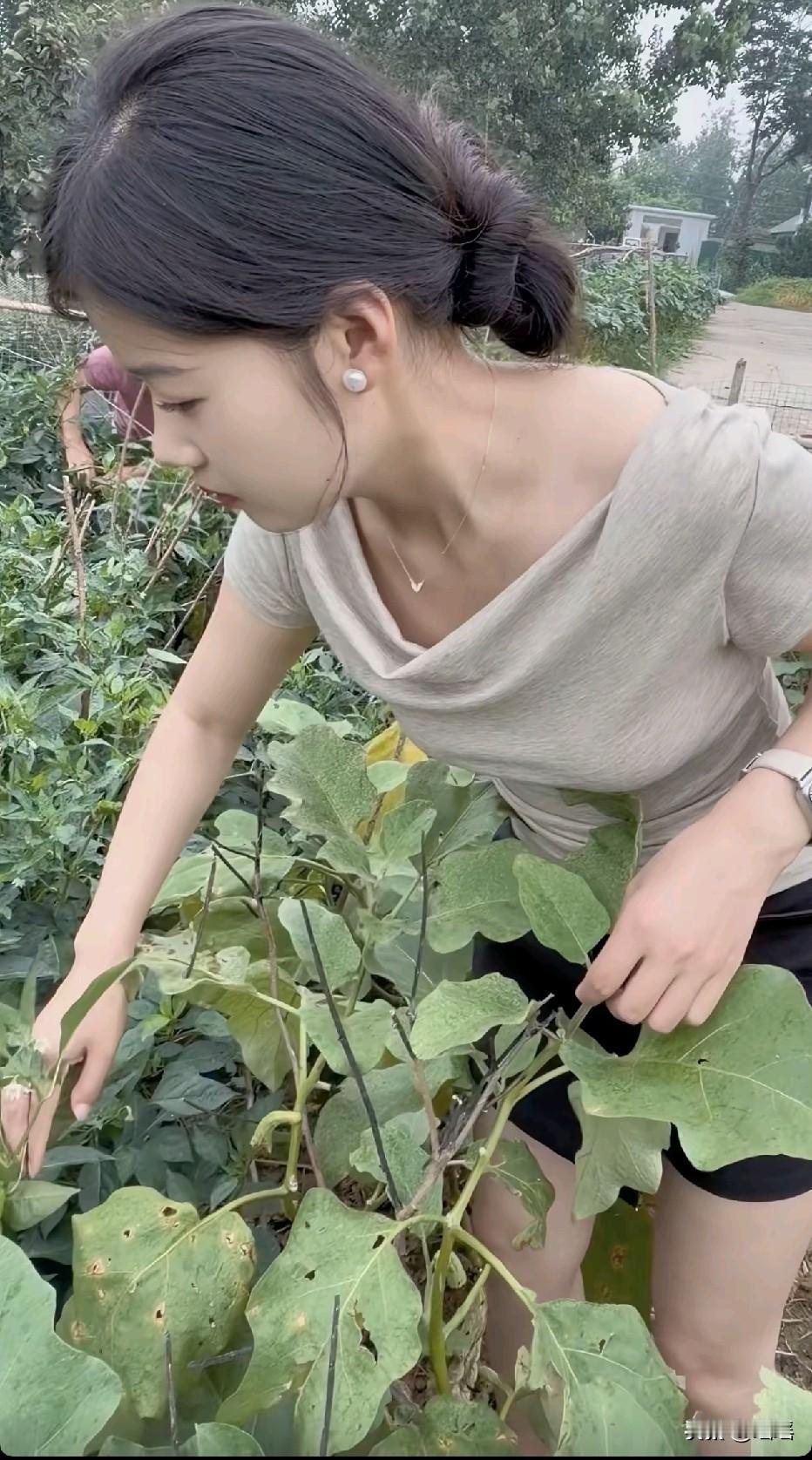 找金龟婿吧