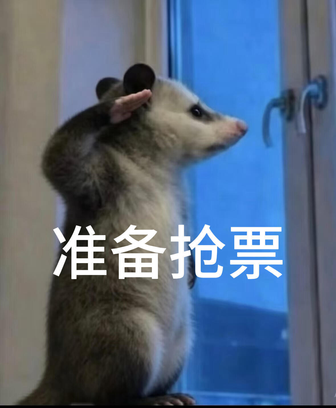 我真的开了空调还一手心的汗…… 