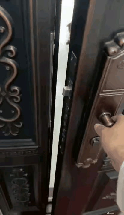 乌龟也能训练出来？我怎么就不行呢？😯