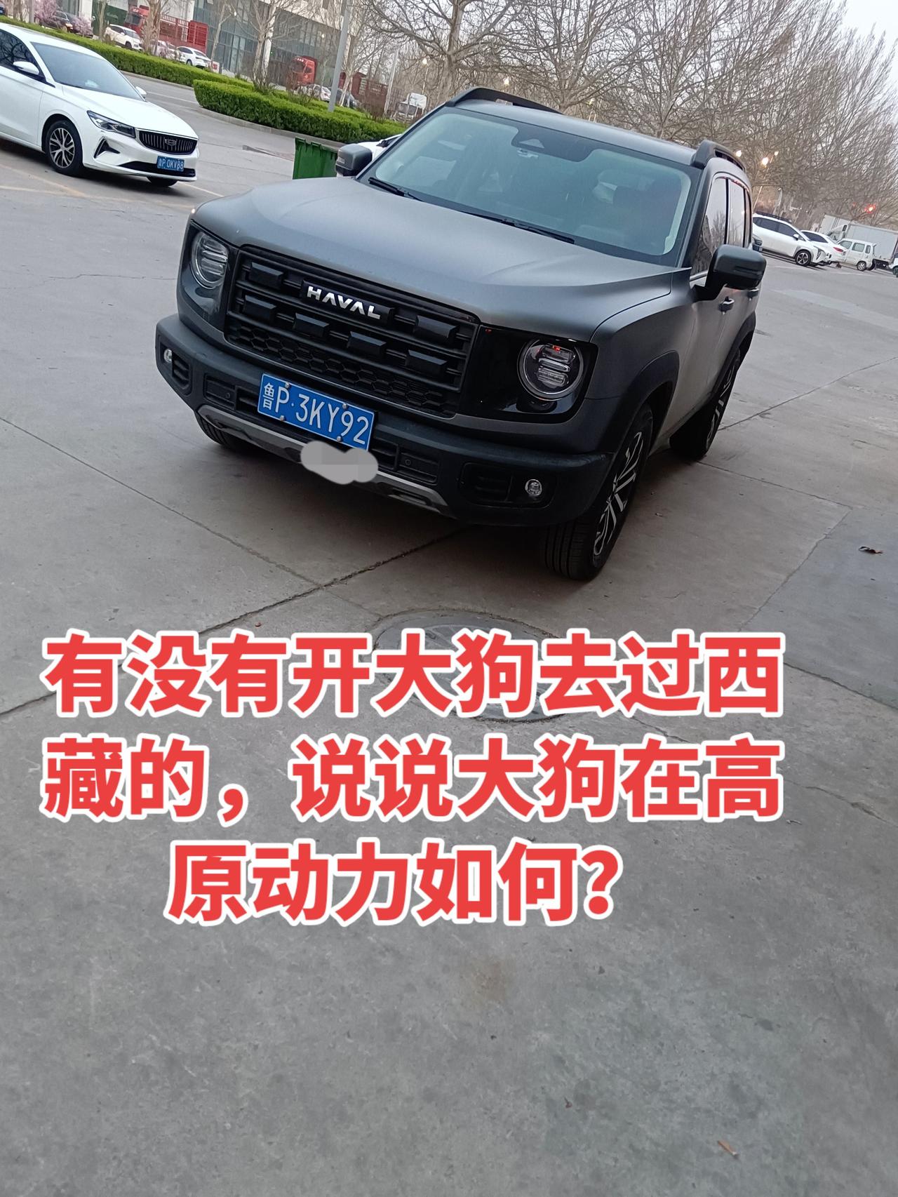 2.0的大狗西藏应该可以从容应对，1.5的不知动力如何？