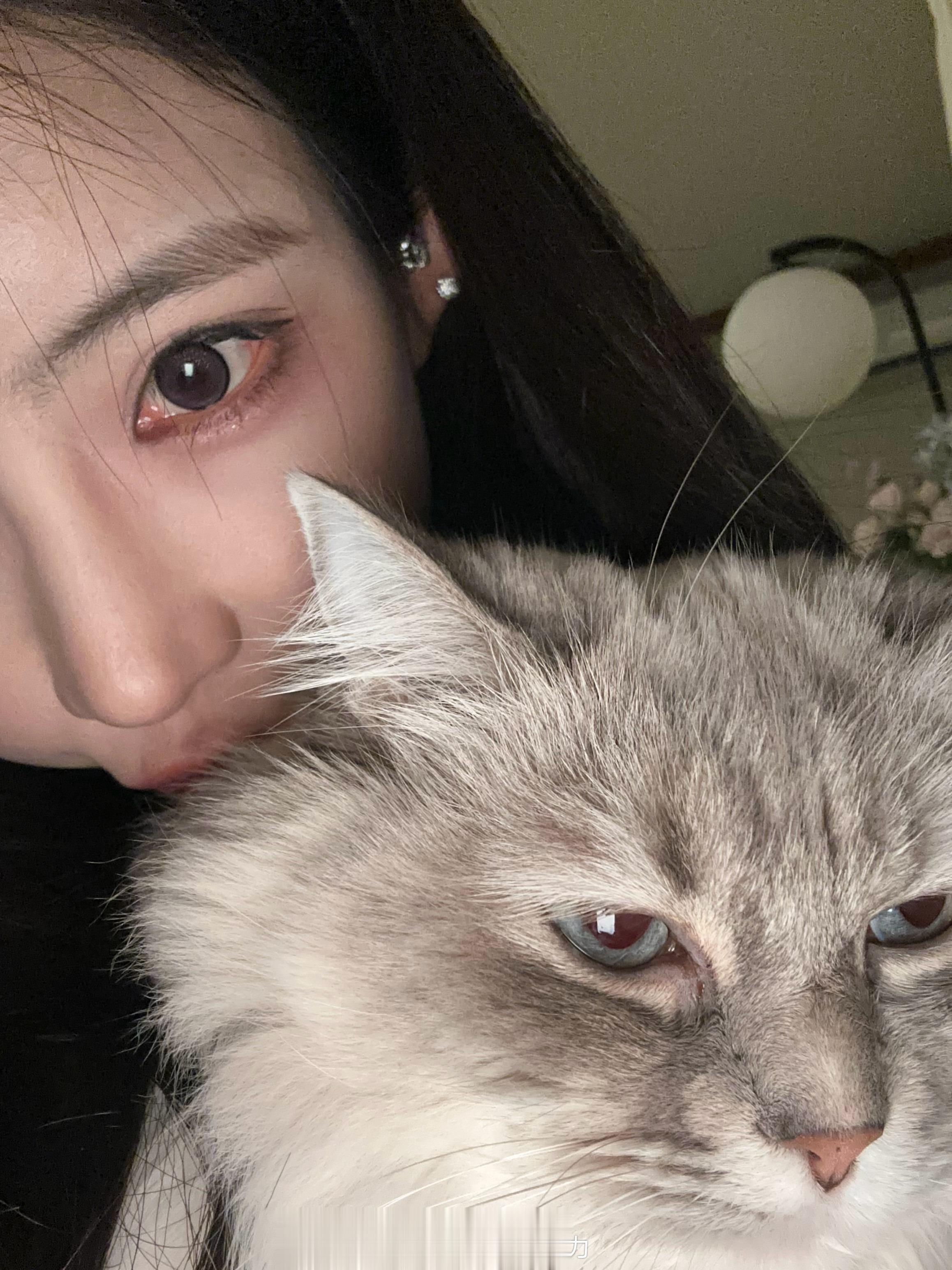 不亲小猫咪了 想亲嘴儿 哈哈哈哈哈 ​​​