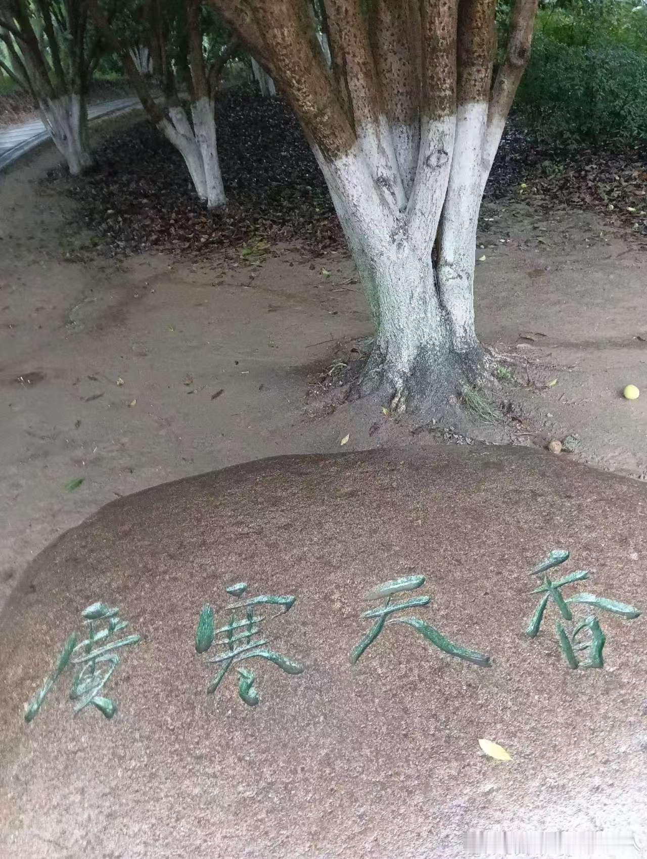不知出自哪位大师手笔，居然写出了寂寞嫦娥舒广袖的味道