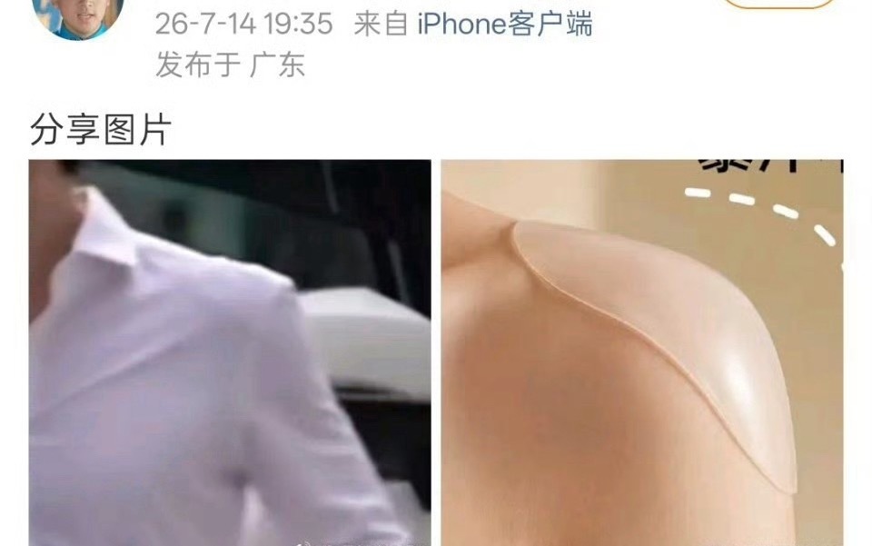 85后假发片乳贴垫肩增高鞋。打一动物 