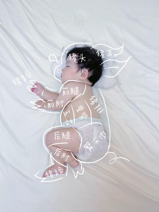 有👋就会！我不允许还有妈妈不会画小猪🐷