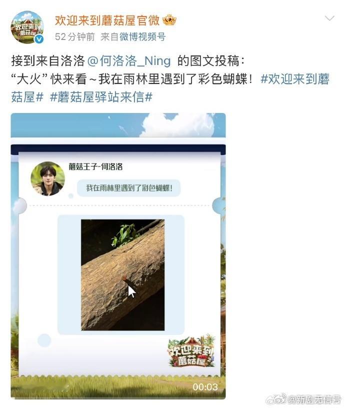 何洛洛分享彩色蝴蝶 这是什么神仙画面！何洛洛镜头下的彩色蝴蝶，美得像从童话里飞出