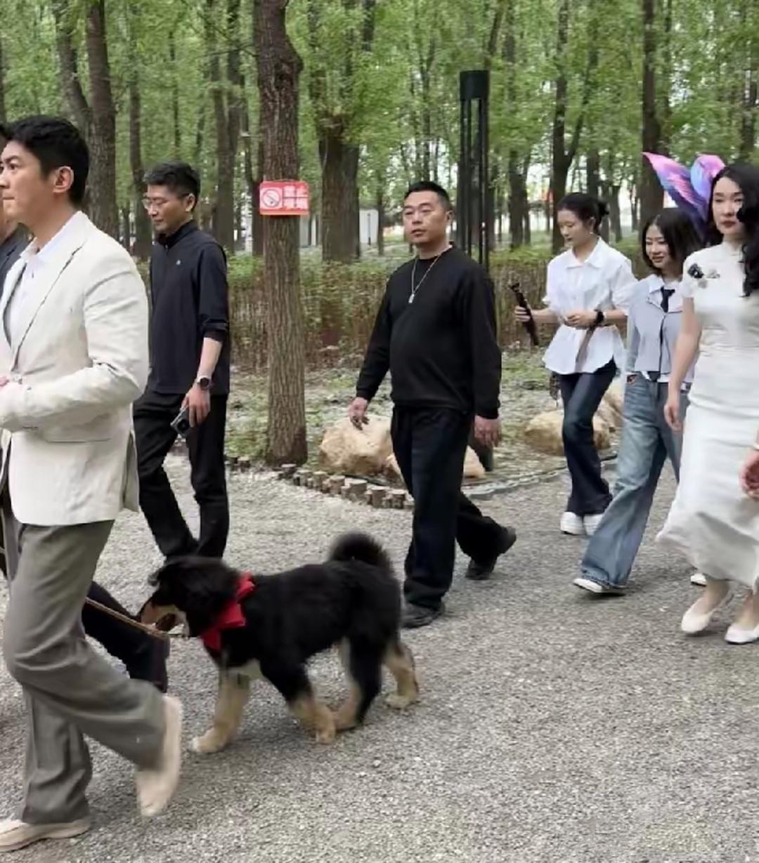 4月25日，霍思燕和杜江在北京平谷桃园里的欢乐谷乐田园里带着救助的流浪狗狗，真的