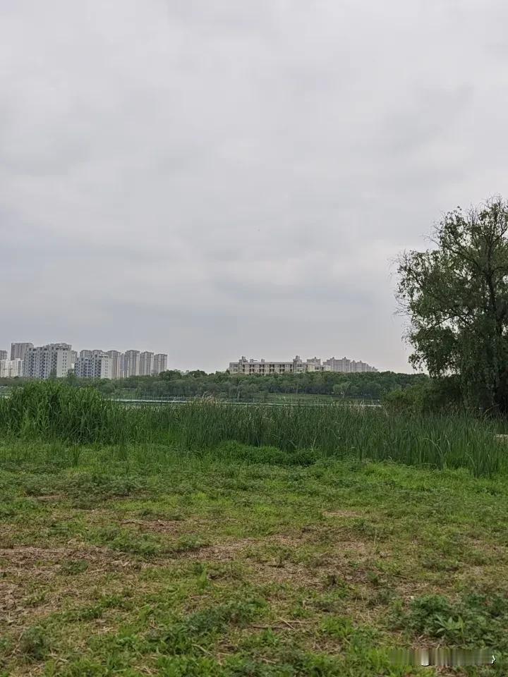 最近一个月，每周至少有三天11~12点钟下班，感觉身体状态明显不如以前。太累了，