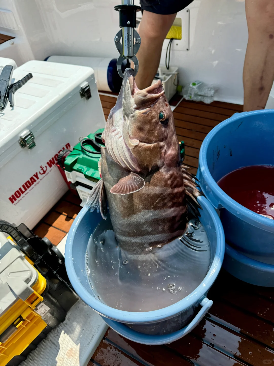 海钓抽铁板绝对是重体力劳动