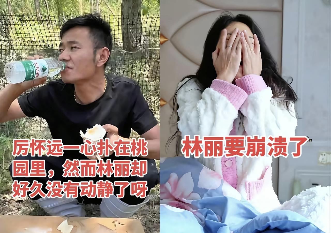 厉怀远终于对林丽昨天的发文做出回应了

厉怀远在他昨天发布的视频留言区回应关于对